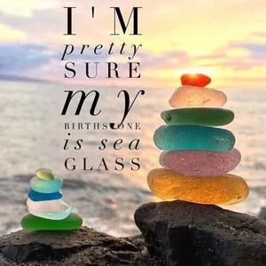 Meet your Posher, Jodie